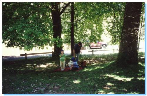 Lunch under the trees at Firth Park, Lerderderg Firth Park