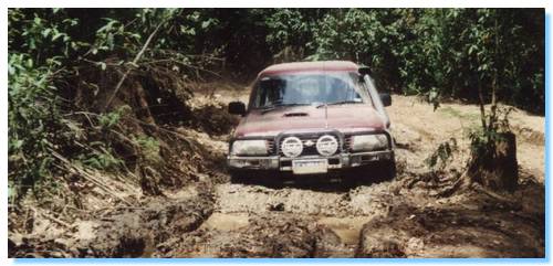 Needing a snatch Bogged!