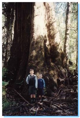 James and Liam in front of a tree at Cambarville