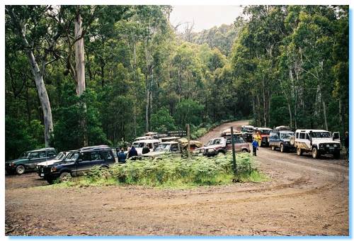 Morning Tea at Dudley Saddle