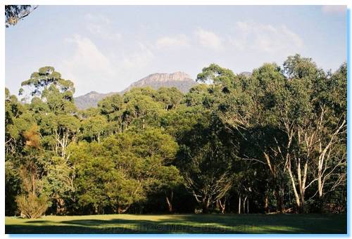 Photo of Mt Rosea (Mark Linkin)