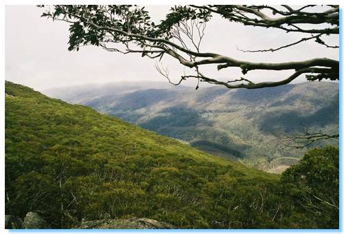 View when climbing Mt Torbrek