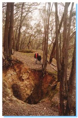 James and Liam looking into the air shafts and mine diggings