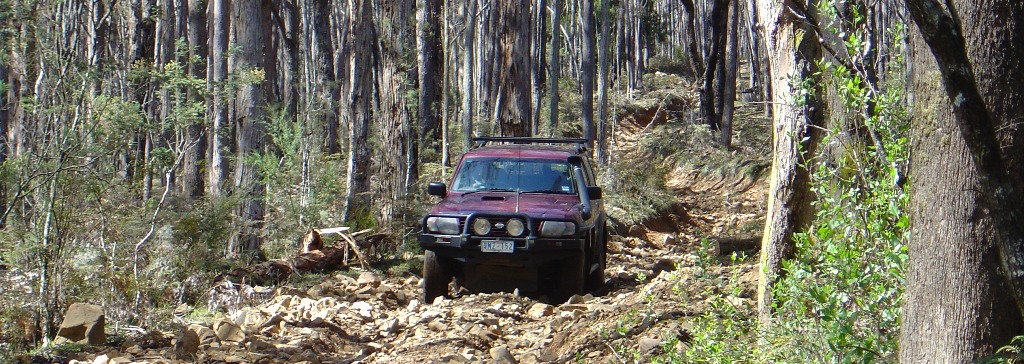 Rocky track, Toolangi