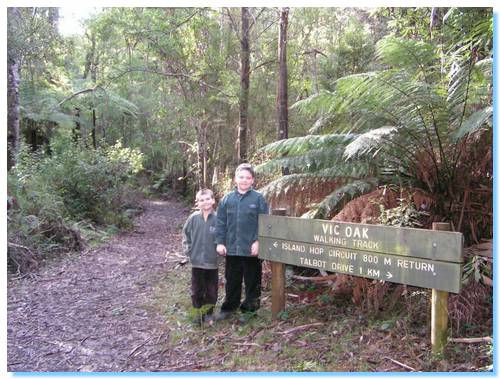 Vic Oak Walking Track