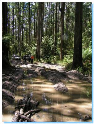 Surveying a bog hole - Kennett Wye River Jeep Track